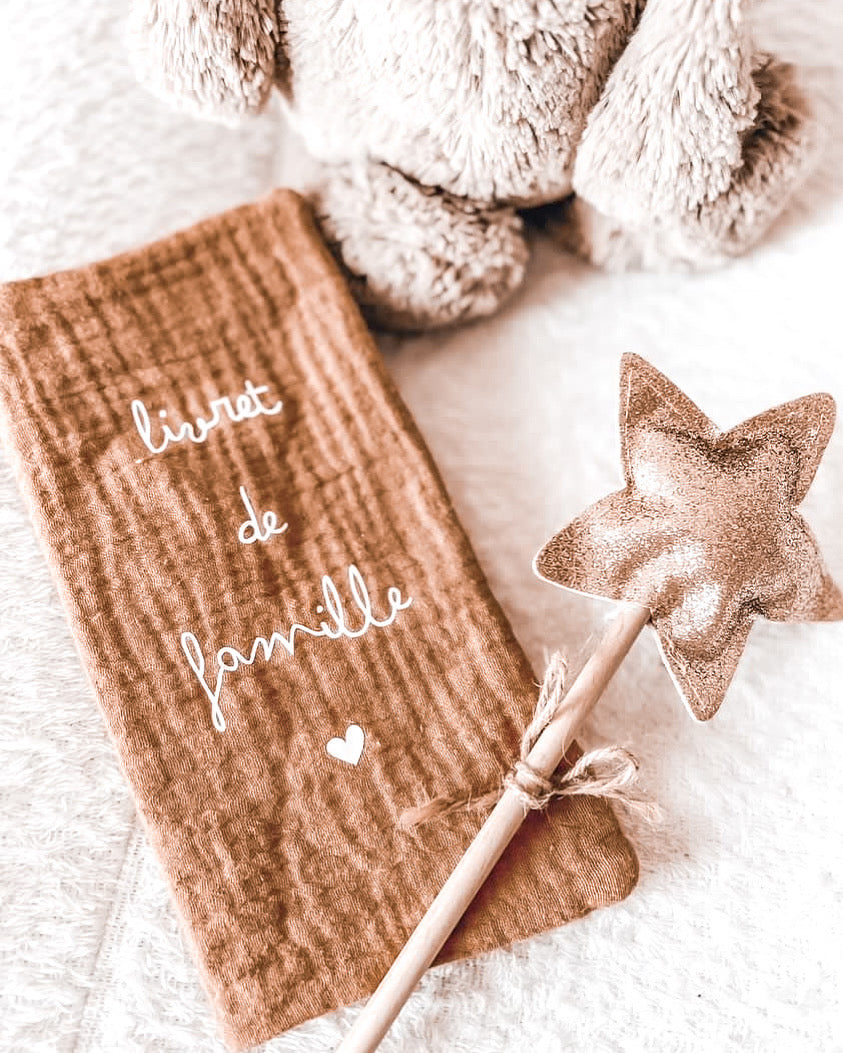 Protèges carnet de santé & livret de famille